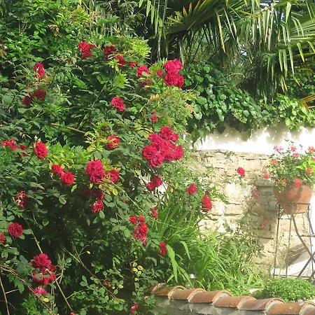 Bed & Breakfast D'hotes Les Renards