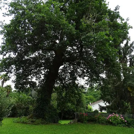 Bed & Breakfast D'hotes Les Renards *